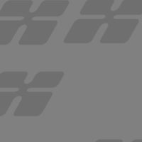 Mauris placerat eleifend leo