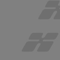 Pellentesque habitant morbi