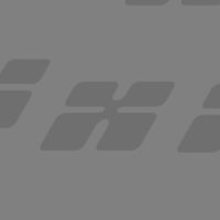 Donec non enim in turpis